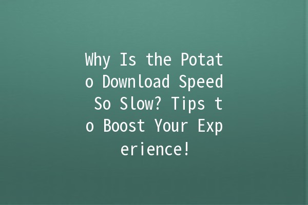 🚀 Why Is the Potato Download Speed So Slow? Tips to Boost Your Experience!