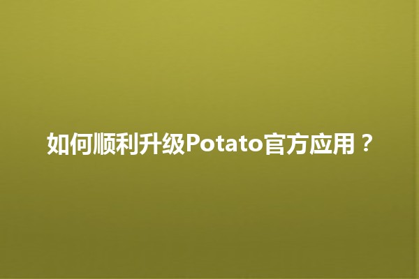 如何顺利升级Potato官方应用？🚀💡