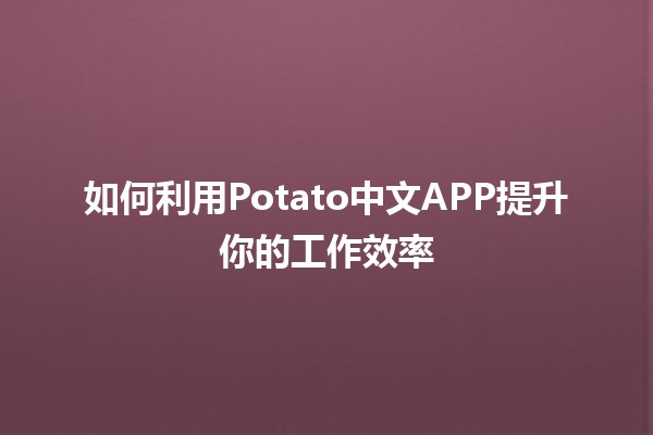 如何利用Potato中文APP提升你的工作效率🚀