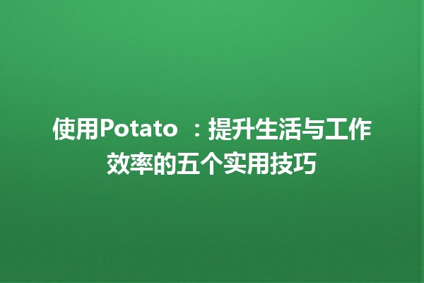 使用Potato 🍟：提升生活与工作效率的五个实用技巧