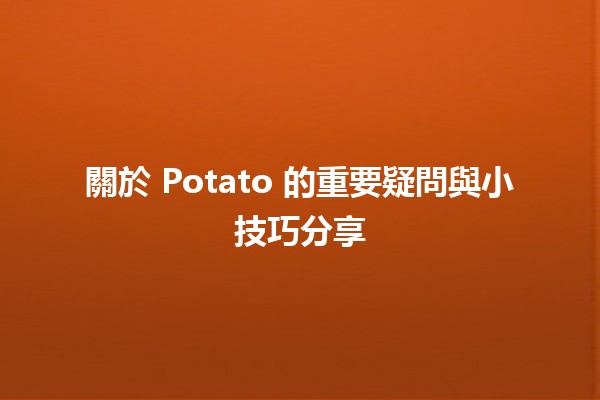 🎉 關於 Potato 的重要疑問與小技巧分享