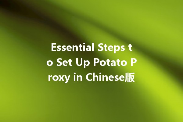 Essential Steps to Set Up Potato Proxy in Chinese版 🍟🌐