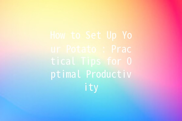 How to Set Up Your Potato 🔧🥔: Practical Tips for Optimal Productivity