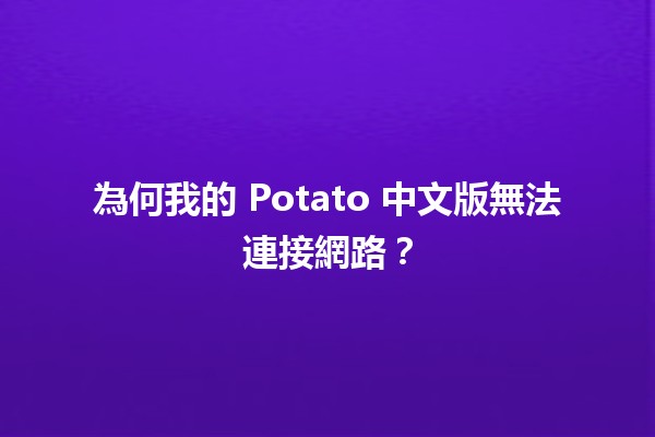 🍟 為何我的 Potato 中文版無法連接網路？🚫