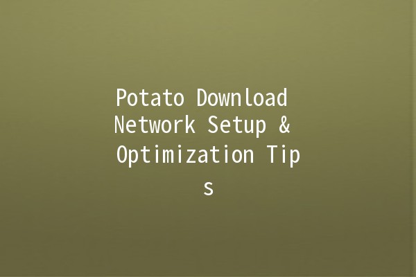 Potato Download Network Setup & Optimization Tips 🥔⚙️