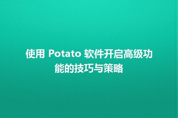 使用 Potato 软件开启高级功能的技巧与策略 🚀🛠️