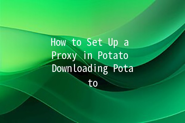 How to Set Up a Proxy in Potato Downloading Potato 🥔🚀