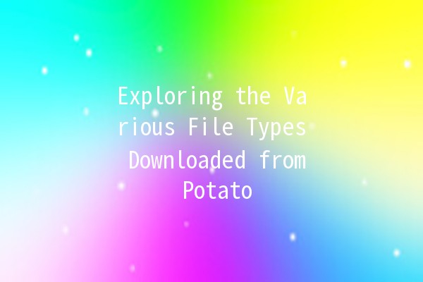 Exploring the Various File Types Downloaded from Potato 🍟📂