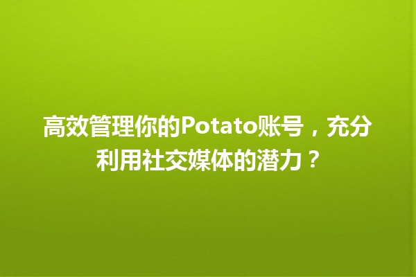 高效管理你的🍟Potato账号，充分利用社交媒体的潜力？