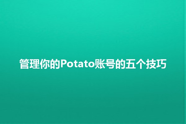 管理你的Potato账号的五个技巧🚀🍟