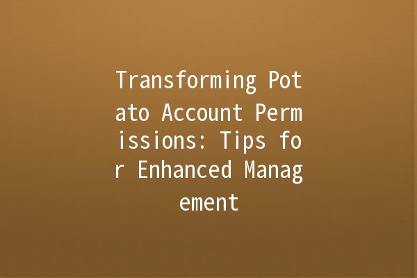 Transforming Potato Account Permissions: Tips for Enhanced Management 🌱🔐