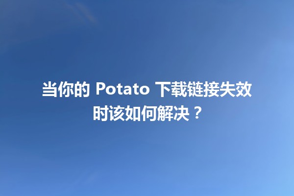 当你的 Potato 下载链接失效时该如何解决？🛠️