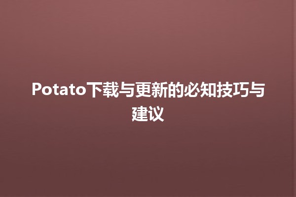 🥔 Potato下载与更新的必知技巧与建议