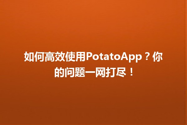 🤔🥔 如何高效使用PotatoApp？你的问题一网打尽！