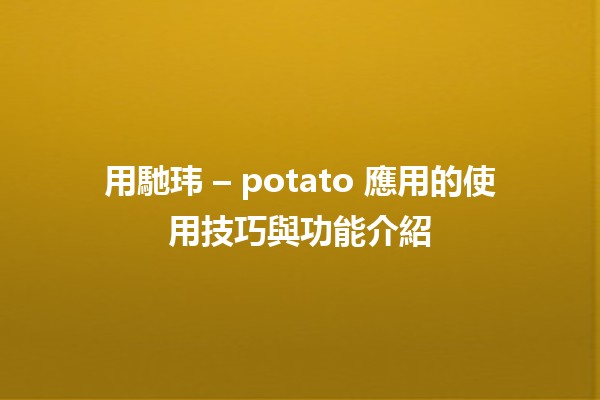 🎉 用馳玮 – potato 應用的使用技巧與功能介紹 🥔