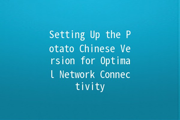 Setting Up the Potato Chinese Version for Optimal Network Connectivity 🌐🐟