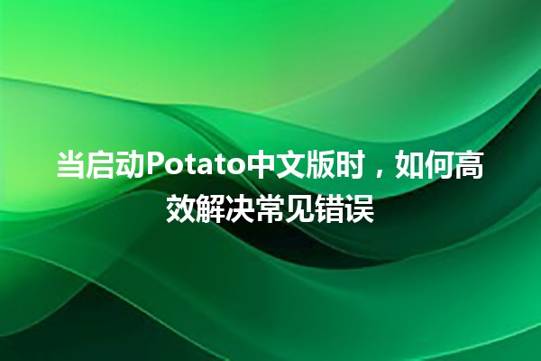 当启动Potato中文版时，如何高效解决常见错误 🚀💻