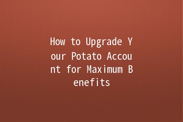 How to Upgrade Your Potato Account for Maximum Benefits 🥔✨