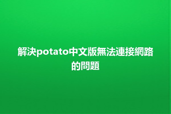 解決potato中文版無法連接網路的問題💻🔧