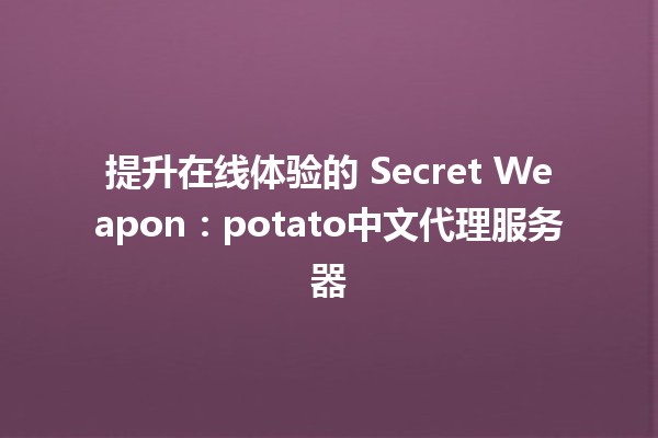 提升在线体验的 Secret Weapon：potato中文代理服务器 🌐🥔