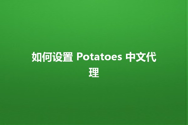 如何设置 Potatoes 中文代理 🌐🥔