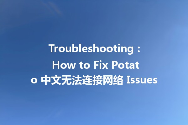 Troubleshooting 📶: How to Fix Potato 中文无法连接网络 Issues