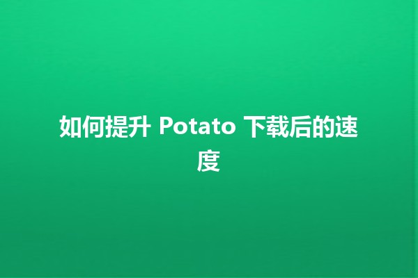 如何提升 Potato 下载后的速度 🚀💻