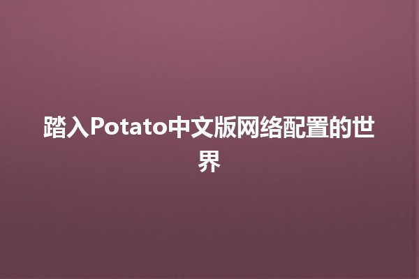 踏入Potato中文版网络配置的世界 🌐🍟