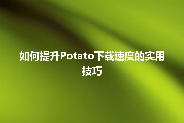 如何提升Potato下载速度的实用技巧 🚀💻