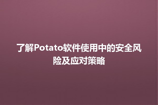 🍟 了解Potato软件使用中的安全风险及应对策略 🔒