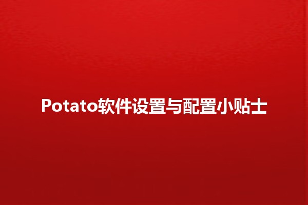 🎉 Potato软件设置与配置小贴士 🍟