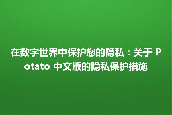 🌐 在数字世界中保护您的隐私：关于 Potato 中文版的隐私保护措施