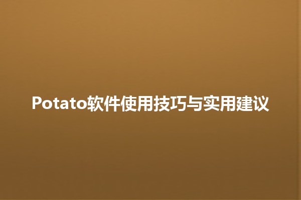 Potato软件使用技巧与实用建议 🥔✨