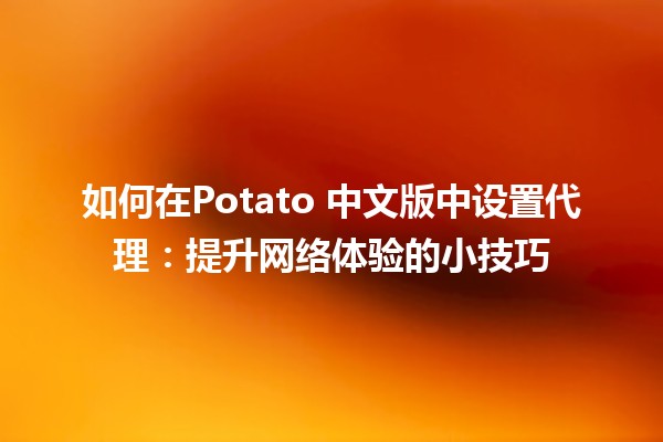 如何在📱Potato 中文版中设置代理：提升网络体验的小技巧