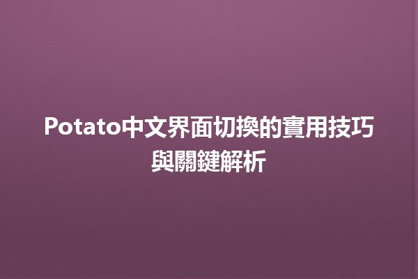 Potato中文界面切換的實用技巧與關鍵解析🖥️🌟