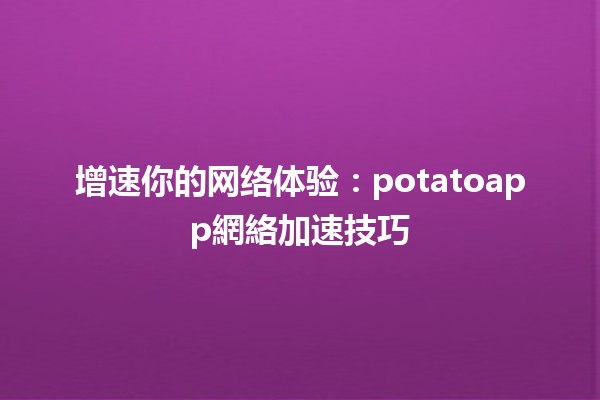 🚀 增速你的网络体验：potatoapp網絡加速技巧✨