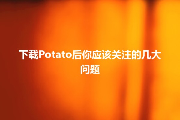 下载Potato后你应该关注的几大问题🧐