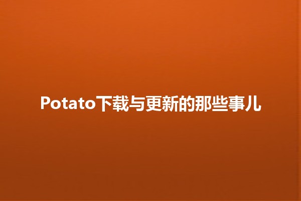 🎮 Potato下载与更新的那些事儿💻