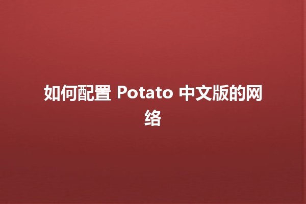 如何配置 Potato 中文版的网络 🚀🌐