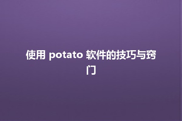 使用 potato 软件的技巧与窍门 🥔💻