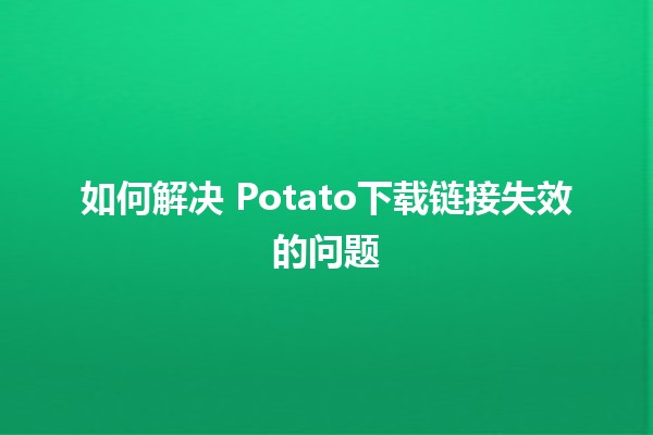 如何解决🍟 Potato下载链接失效的问题