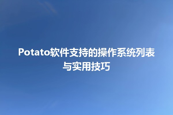 🌟 Potato软件支持的操作系统列表与实用技巧 🖥️