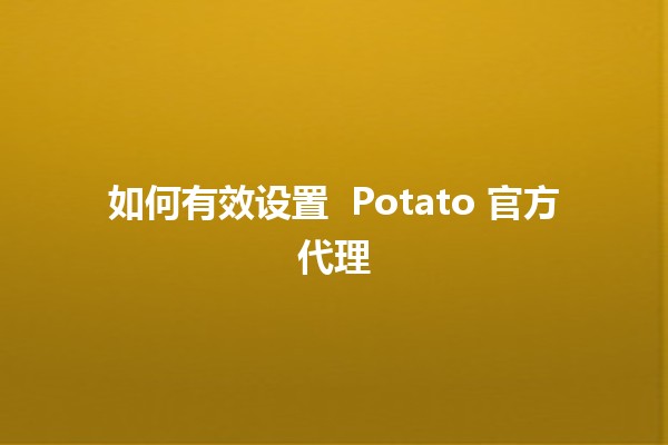 如何有效设置 🍟 Potato 官方代理