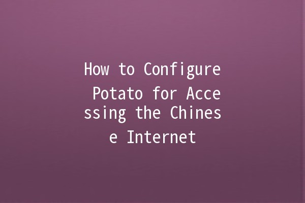 How to Configure Potato for Accessing the Chinese Internet 🌐🥔