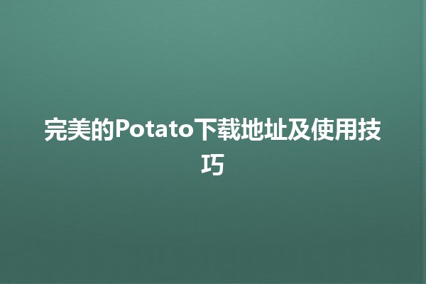 完美的Potato下载地址及使用技巧🍟✨