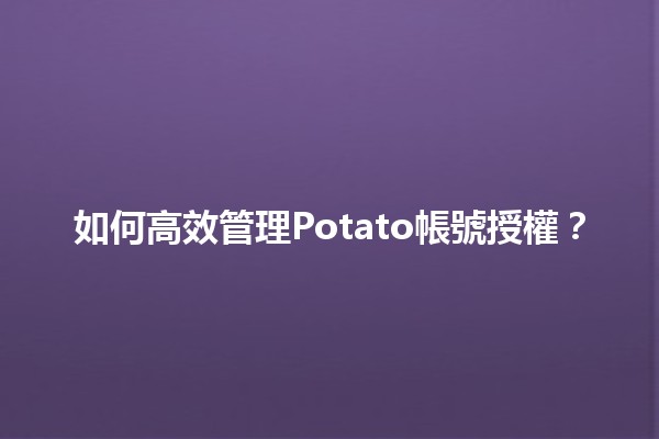 如何高效管理Potato帳號授權？💡🔑