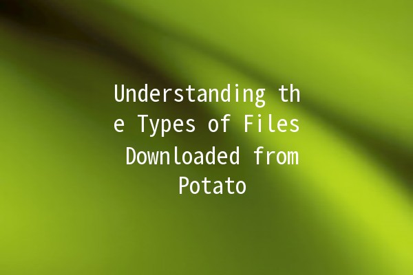 Understanding the Types of Files Downloaded from Potato 🥔📥