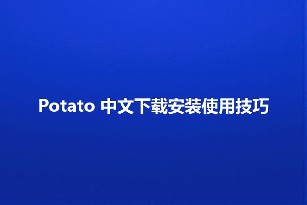 Potato 中文下载安装使用技巧🔧🍟